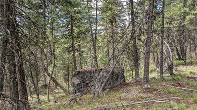 Trophy property offering 160 acres of private, timbered Montana - photo 33