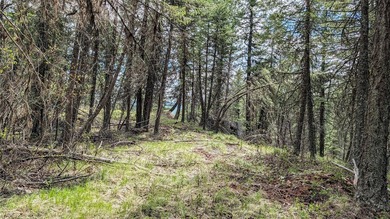 Trophy property offering 160 acres of private, timbered Montana - photo 34