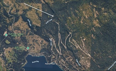 Trophy property offering 160 acres of private, timbered Montana - photo 35