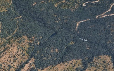 Trophy property offering 160 acres of private, timbered Montana - photo 39