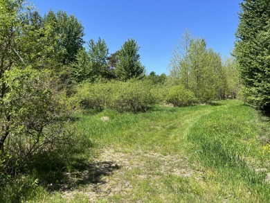 Lake Lot For Sale in Bloomingdale, Michigan