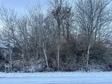 Flat River - Kent County Lot For Sale in Belding Michigan