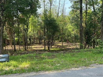 (private lake, pond, creek) Acreage For Sale in Watertown New York