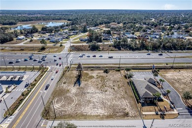 98 ACRES Corner Lot! Cleared and shovel ready. Frontage on - photo 11