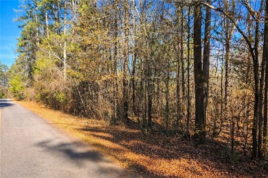 **OWNER WILLING TO CARRY NOTE** This large lot offers lots of - photo 11