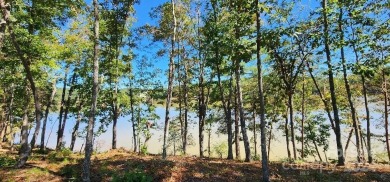 Lake Rhodhiss Lot For Sale in Connelly Springs North Carolina