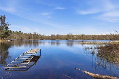 Beautifully updated Northwoods retreat on the Chippewa River - photo 42