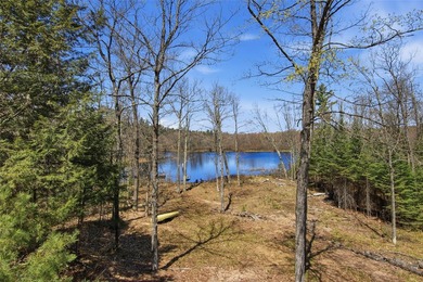 Beautifully updated Northwoods retreat on the Chippewa River - photo 43