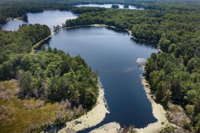 Long Lake Parcel - Lake Acreage For Sale in Rhinelander, Wisconsin
