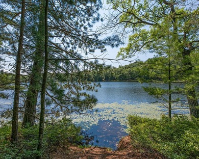 Candidly breathtaking lake front lot in Newbold awaits its new - photo 2