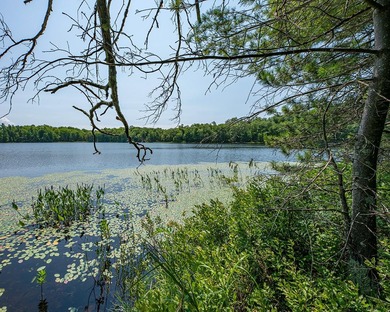 Candidly breathtaking lake front lot in Newbold awaits its new - photo 3