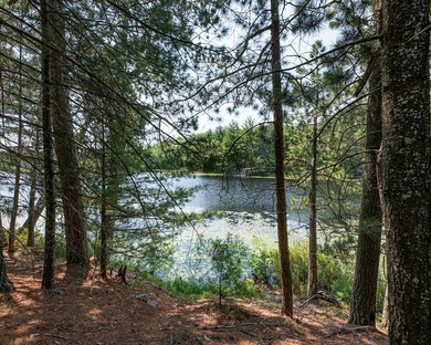Candidly breathtaking lake front lot in Newbold awaits its new - photo 4
