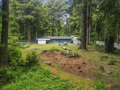 Tucked beneath towering redwoods on a full acre, this 2-bedroom - photo 29