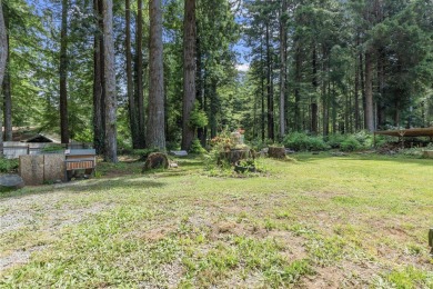 Tucked beneath towering redwoods on a full acre, this 2-bedroom - photo 34