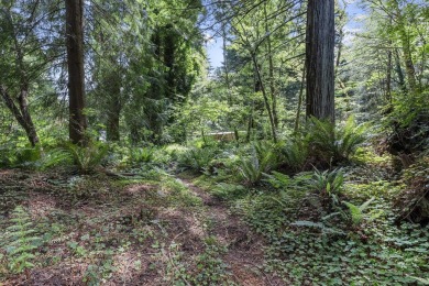 Tucked beneath towering redwoods on a full acre, this 2-bedroom - photo 35