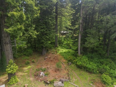 Tucked beneath towering redwoods on a full acre, this 2-bedroom - photo 37