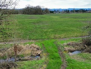 (private lake, pond, coastal) Acreage For Sale in Canby Oregon