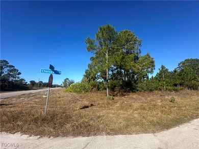 Lehigh Acres Area Lot For Sale in Lehigh Acres Florida