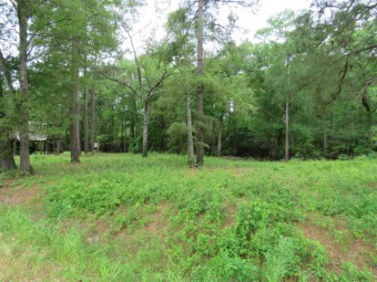 Caddo Lake Lot For Sale in Karnack Texas