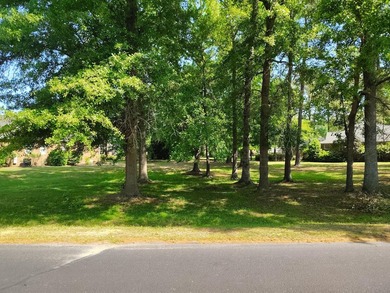 Beautiful Shaded Building Lot awaits you to build your ARC - photo 2