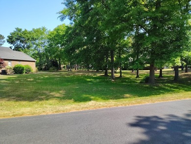 Beautiful Shaded Building Lot awaits you to build your ARC - photo 3