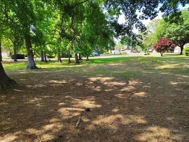 Beautiful Shaded Building Lot awaits you to build your ARC - photo 5