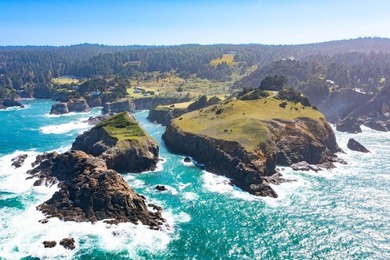 Unmatched views surround 3 sides of this rare oceanfront parcel - photo 1