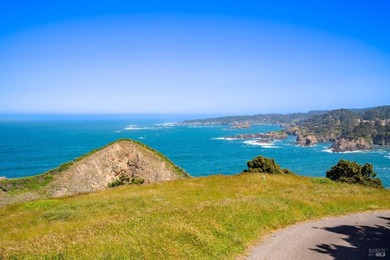 Unmatched views surround 3 sides of this rare oceanfront parcel - photo 4