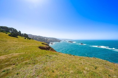Unmatched views surround 3 sides of this rare oceanfront parcel - photo 9