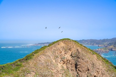 Unmatched views surround 3 sides of this rare oceanfront parcel - photo 10