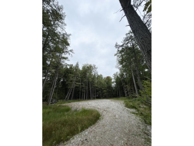 Thompson Lake Lot For Sale in Oxford Maine