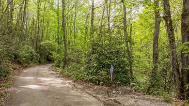 Lake Glenville Lot For Sale in Glenville North Carolina