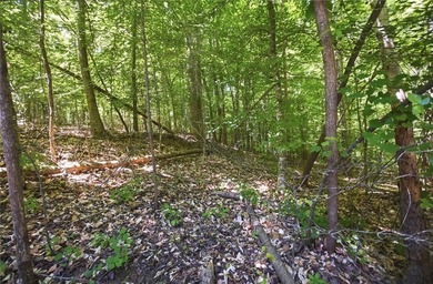 Additional listing photo 2