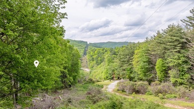 Lake Glenville Lot For Sale in Glenville North Carolina