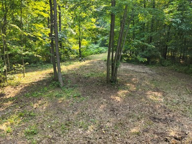 Fish Lake - Oakland County Lot For Sale in Holly Michigan