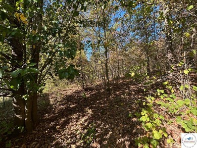 94 acres of Hunting Haven! Perfectly suited for the avid - photo 2