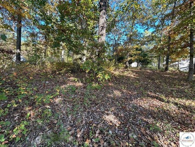 94 acres of Hunting Haven! Perfectly suited for the avid - photo 3