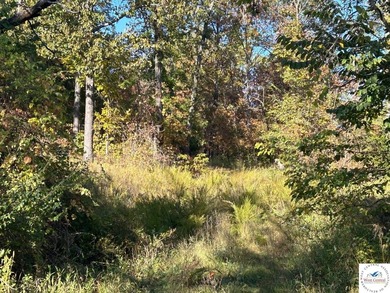 94 acres of Hunting Haven! Perfectly suited for the avid - photo 4
