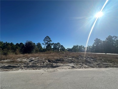 Lehigh Acres Area Lot For Sale in Lehigh Acres Florida