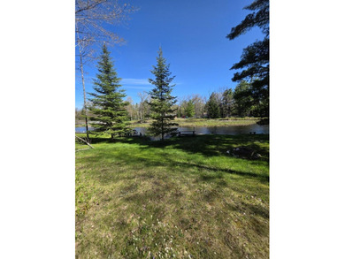 Escape to Northern Michigan with this inviting riverfront - photo 31