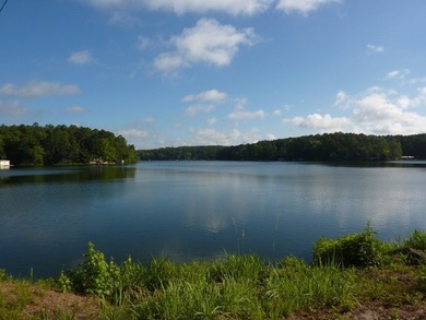Great Fishing and a wonderful modern style home in the piney - photo 34