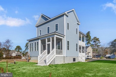Don't miss this stunning Charleston-inspired waterview home with - photo 2