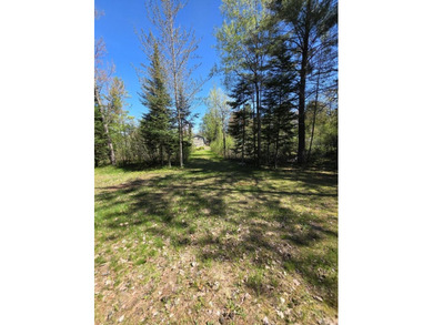 Escape to Northern Michigan with this inviting riverfront - photo 42