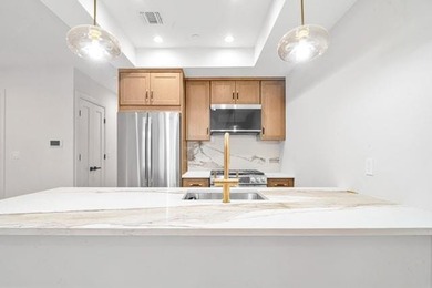 Brand New Lower-Level Duplex Condo with Backyard! SUPER LOW - photo 6