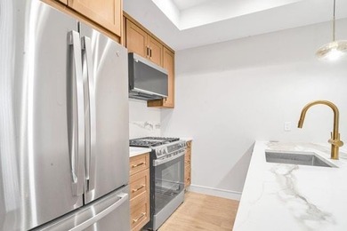 Brand New Lower-Level Duplex Condo with Backyard! SUPER LOW - photo 8