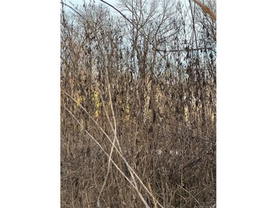 Washita River - Murray County Commercial For Sale in Davis Oklahoma