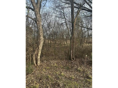 Opportunity awaits with this 1/2-acre lot on Highway 77 in Davis - photo 2