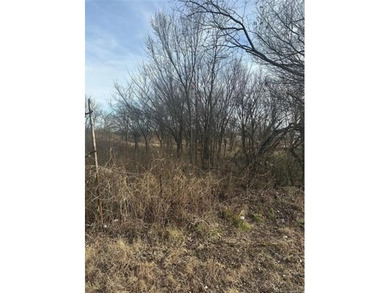 Opportunity awaits with this 1/2-acre lot on Highway 77 in Davis - photo 3