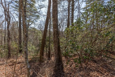 Wake up to the soothing sounds of the Horsepasture River from - photo 7