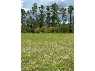 Burnt Store Lakes  Lot For Sale in Punta Gorda Florida
